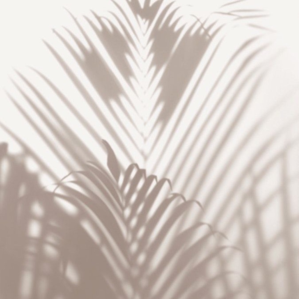 Meet your Posher, Lexi